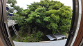 DJI_20250620143817_0102_D_1_thumb.png