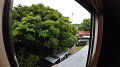 DJI_20250620143943_0106_D_1_thumb.png