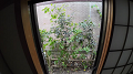 DJI_20250620144249_0112_D_1_thumb.png