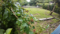 DJI_20260707110900_0326_D_1_thumb.png