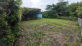 DJI_20260707110944_0330_D_1_thumb.png