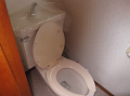 IMG_1507_1_thumb.png
